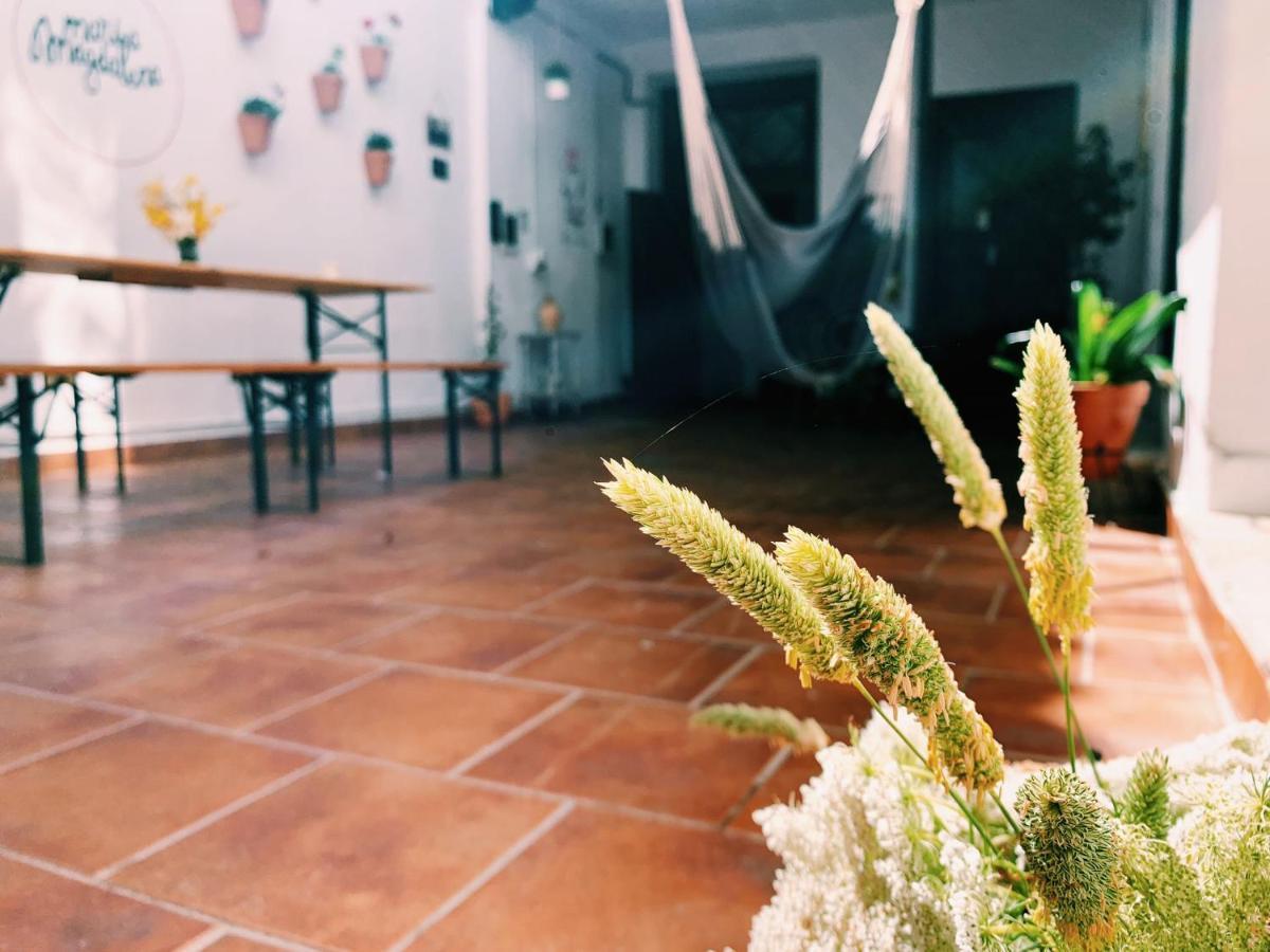 Maria Magdalena - Room 8 Malaga Zewnętrze zdjęcie